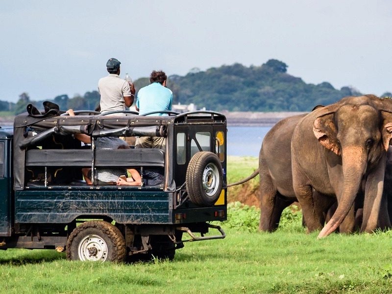 1894272Yala_Jeep_Safari